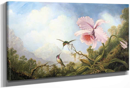 Two Hummingbirds And An Orchid By Martin Johnson Heade