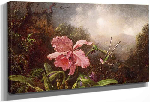 Two Hummingbirds By An Orchid1 By Martin Johnson Heade
