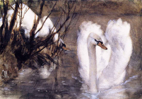 Two Swans By Adolph Von Menzel By Adolph Von Menzel