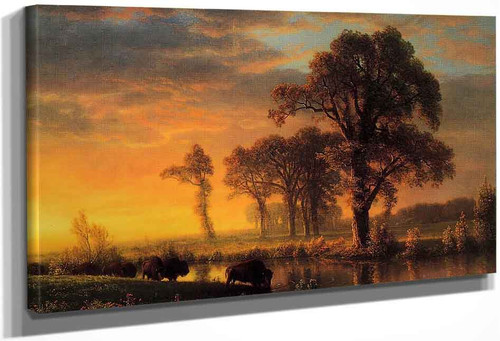 Western Kansas By Albert Bierstadt