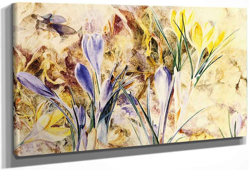 Wild Crocus Blossoms By Henry Roderick Newman