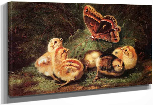 Young Chickens By Arthur Fitzwilliam Tait