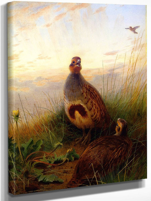 Against The Brightening Dawn By Archibald Thorburn