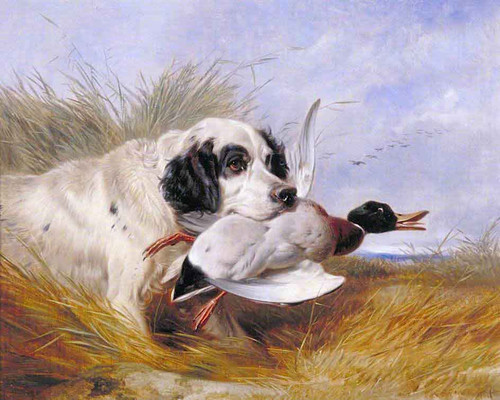 Dog With A Wild Duck By Richard Ansdell Dog With A Wild Duck By Richard Ansdell