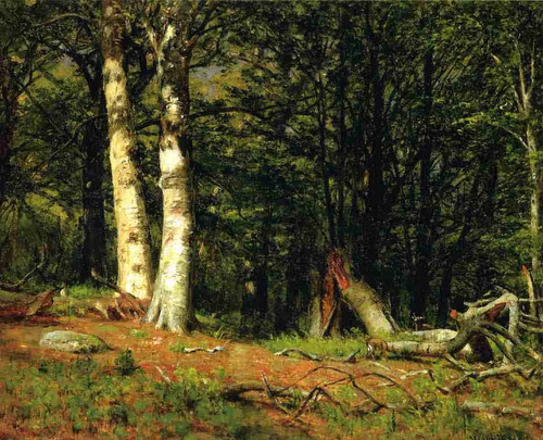 Fallen Birch By Thomas Worthington Whittredge
