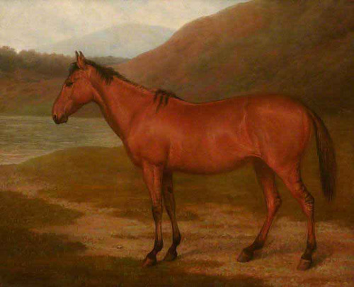 Foal Of Mare And Quagga By Jacques Laurent Agasse By Jacques Laurent Agasse Foal Of Mare And Quagga By Jacques Laurent Agasse By Jacques Laurent Agasse