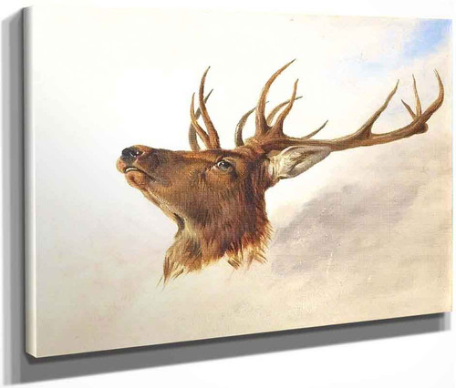 Head Of A Stag (Profile To Left) By Richard Ansdell(English, 1815 1885)