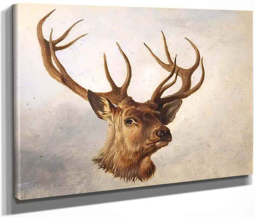 Head Of A Stag (Three Quarter Profile) By Richard Ansdell(English, 1815 1885)