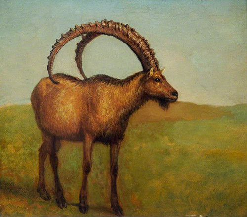 Ibex By Jacques Laurent Agasse By Jacques Laurent Agasse