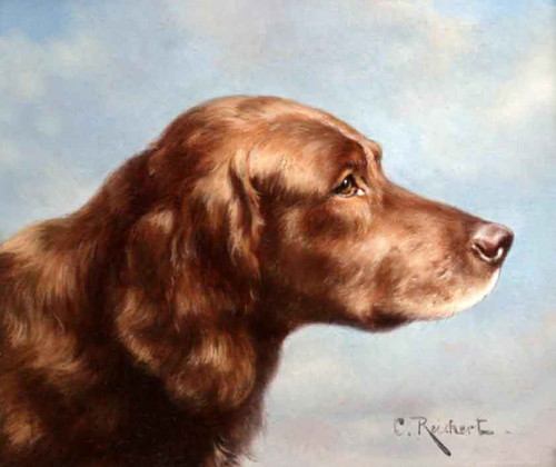 Irish Setter By Carl Reichert Irish Setter By Carl Reichert