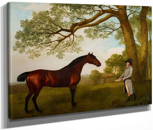 John Gascoigne With A Bay Horse By George Stubbs