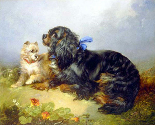 King Charles Spaniel And A Terrier By George Armfield