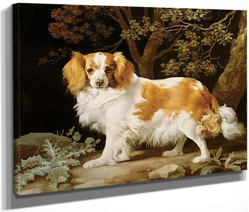 King Charles Spaniel By George Stubbs