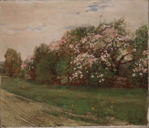 Landscape Trees In Bloom By Frederick Childe Hassam  By Frederick Childe Hassam