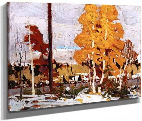 Near Grand Lake, Algonquin Park By Tom Thomson(Canadian, 1877 1917)