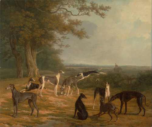 Nine Greyhounds In A Landscape By Jacques Laurent Agasse By Jacques Laurent Agasse