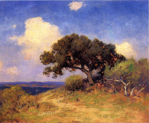 Old Live Oak By Julian Onderdonk By Julian Onderdonk Old Live Oak By Julian Onderdonk By Julian Onderdonk