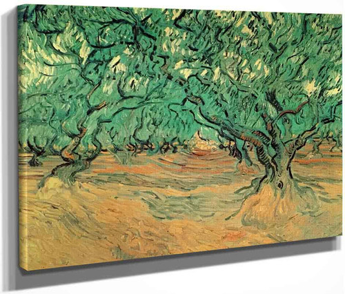 Olive Trees By Vincent Van Gogh