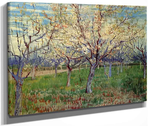 Orchard With Blossoming Apricot Trees By Jose Maria Velasco