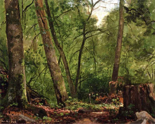 Scalp Level Landscape By George Hetzel