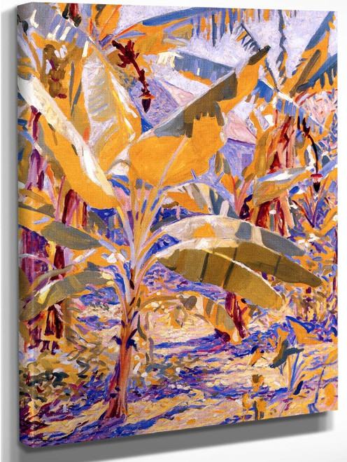 Banana Tree, Jamaica By Edwin Ambrose Webster