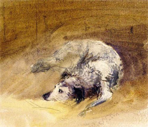 Study Of A Dog By David Cox By David Cox