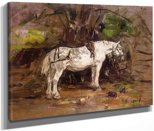 Study Of A White Horse By Eugene Louis Boudin By Eugene Louis Boudin