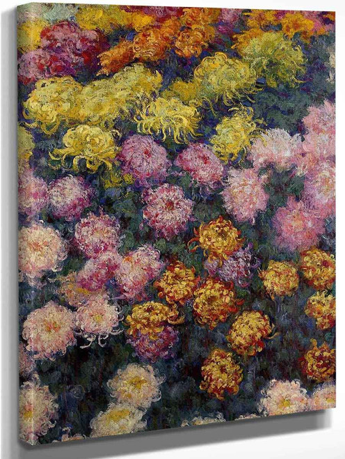 Bed Of Chrysanthemums By Claude Oscar Monet