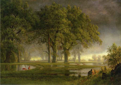 Sunglow By Albert Bierstadt By Albert Bierstadt
