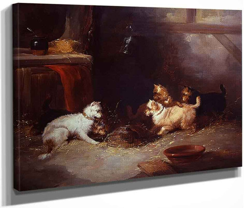 Terriers Ratting By George Armfield