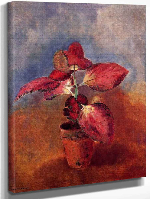 Begonia In A Pot By Odilon Redon