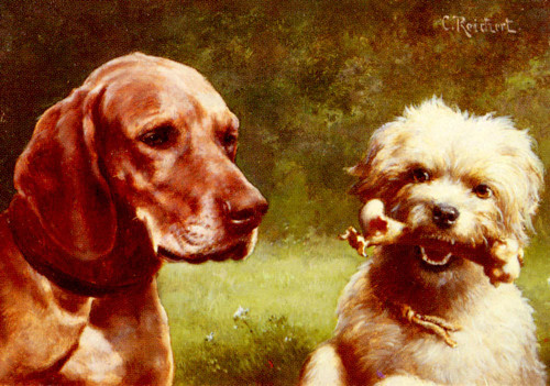 The Cynic And The Philosopher By Carl Reichert