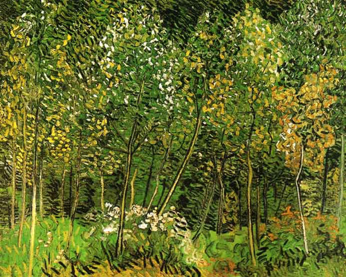The Grove By Jose Maria Velasco The Grove By Jose Maria Velasco