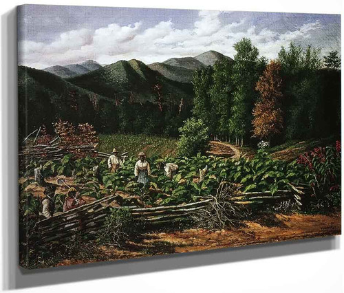 Tobacco Field With Five Figures  By William Aiken Walker
