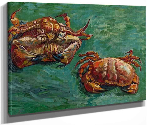 Two Crabs By Jose Maria Velasco