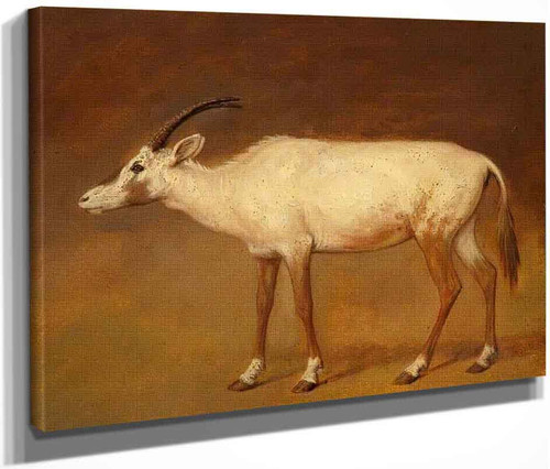 White Antelope By Jacques Laurent Agasse By Jacques Laurent Agasse