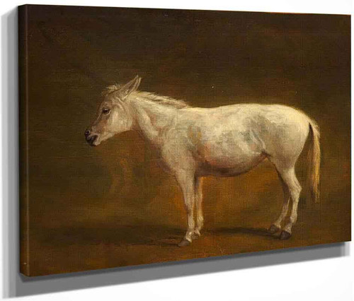 White Mule By Jacques Laurent Agasse By Jacques Laurent Agasse