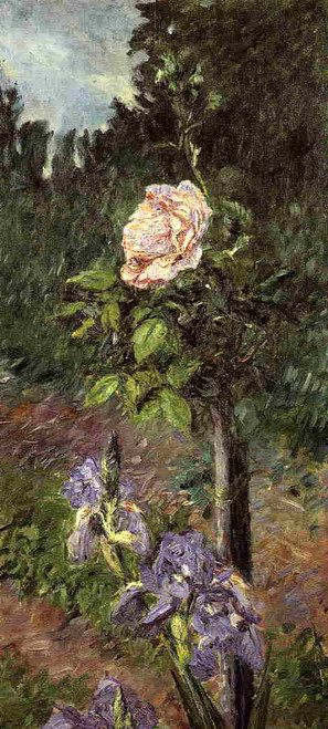 Rose With Purple Iris, Garden At Petit Gennevilliers By Gustave Caillebotte