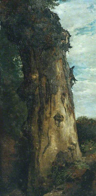 Study Of A Tree By John Linnell By John Linnell