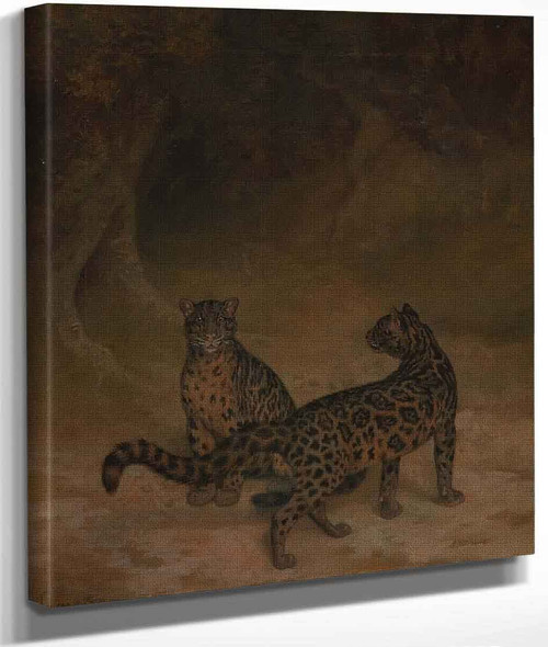 Clouded Leopards By Jacques Laurent Agasse By Jacques Laurent Agasse