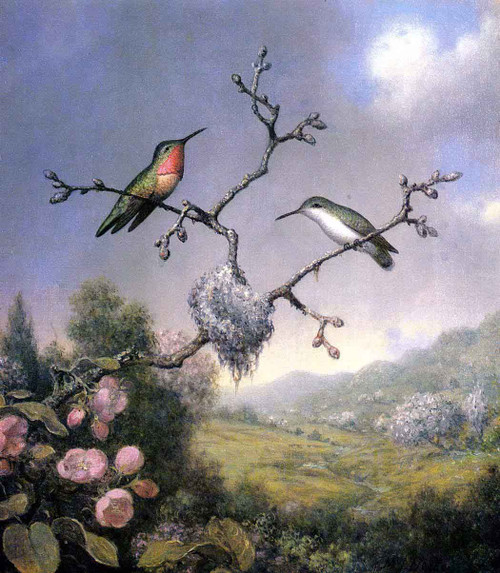 Hummingbirds And Apple Blossoms By Martin Johnson Heade