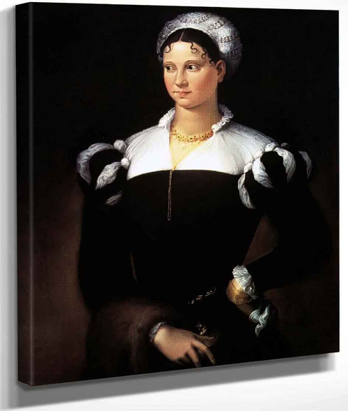 Portrait Of A Lady By Niccolo Dell' Abate By Niccolo Dell' Abate