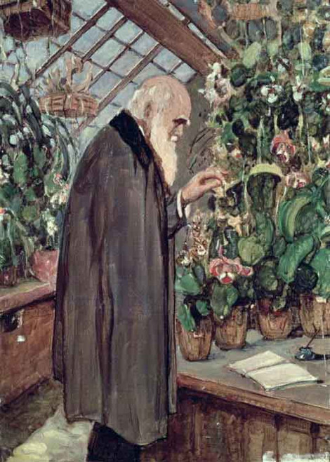 Charles Robert Darwin2 By John Maler Collier