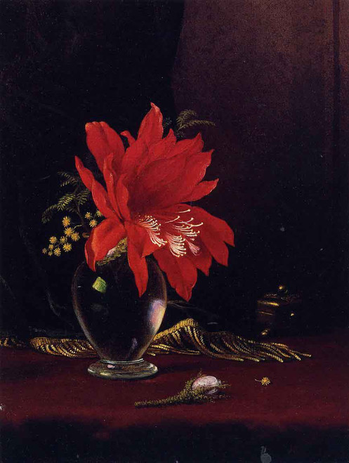 Chateau Of Flower By Martin Johnson Heade