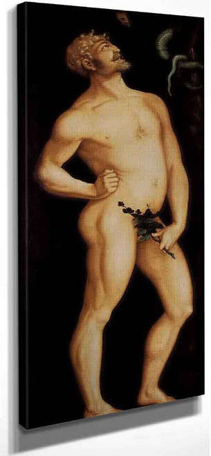 Adam By Hans Baldung Grien By Hans Baldung Grien