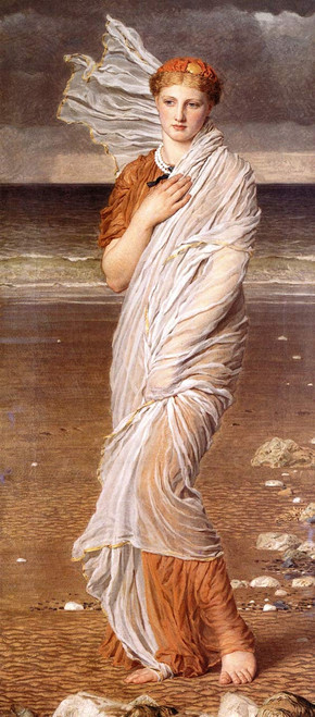 Shells By Albert Joseph Moore, A.R.W.S.