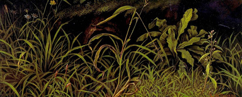 Forest Floor By Levi Wells Prentice By Levi Wells Prentice