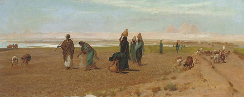 The Sheik's Daughter Sowing The Dourah By Frederick Goodall