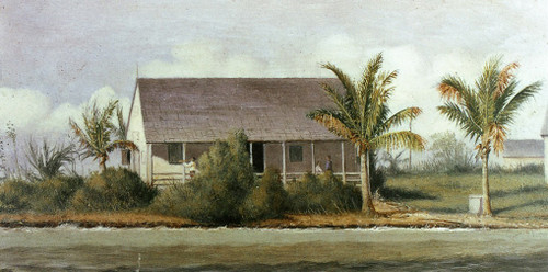 Cottage On Beach With Palm Trees  By William Aiken Walker