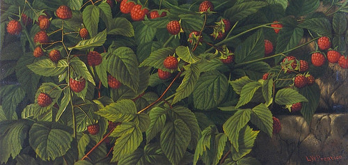 Raspberry Bush By Levi Wells Prentice By Levi Wells Prentice